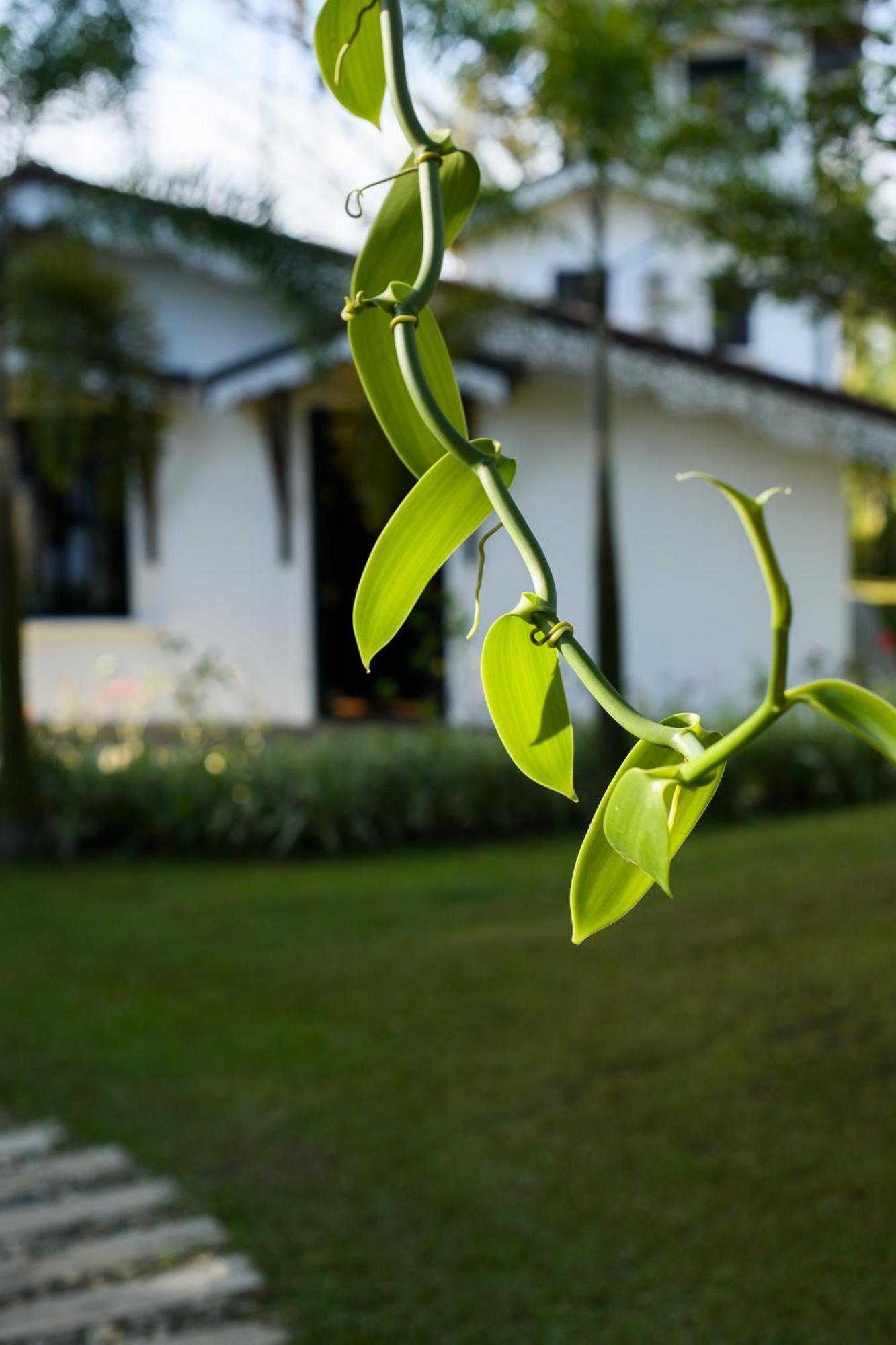 Hotel Roots Retreat Unawatuna Exteriér fotografie